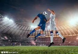 中科三环,内部控制体,系完善资产,IM电竞网页版下载,IM电竞网页版官网,IM电竞网页版登录,IM电竞网页版app