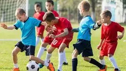 IM电竞网页版登录 资讯 091754 3x6