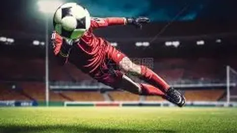 樊振东加盟德甲球队，助力萨尔布吕肯主场夺冠