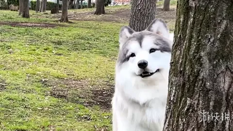 篮球盛宴：勇士对决开拓者，揭秘总分数幕背后的精彩对决！